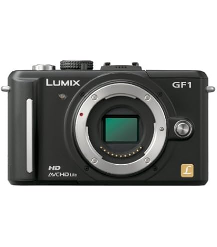 Amazon | パナソニック ミラーレス一眼カメラ GF1 レンズキット(14